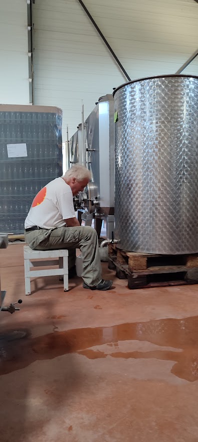 in de wijnkelder Bocchicampe Corcica, de wijnmaker tapt de wijn in een jerrycan vanuit een stalen wijnvat - tank