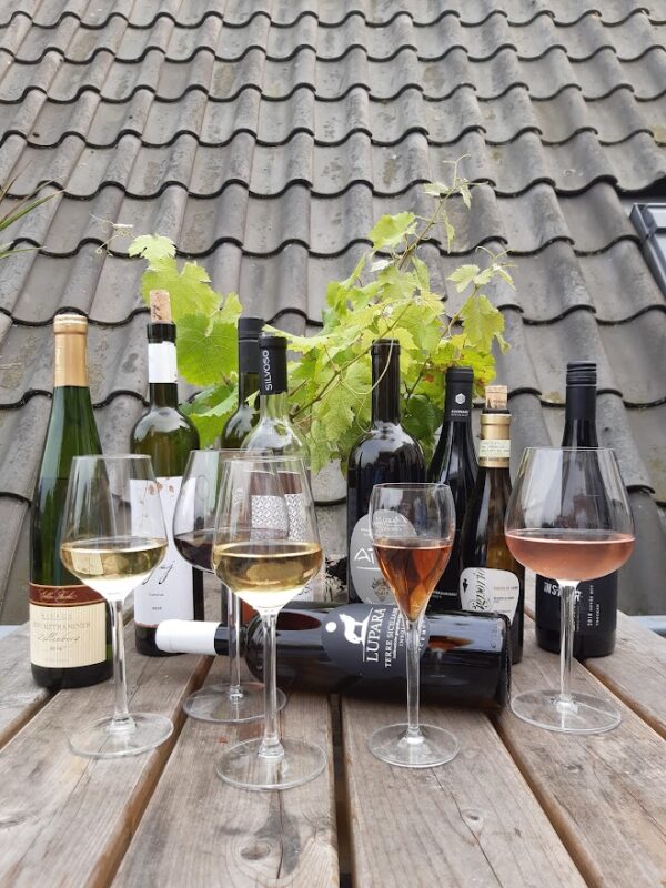 Wijnglazen en wijnflessen met rosé, witte en rode wijn op een houten tafel.